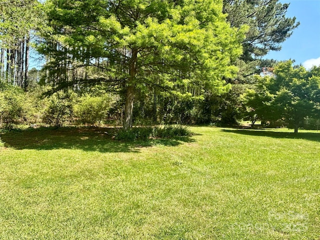 view of green lawn