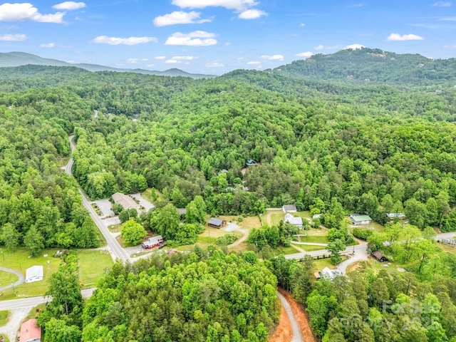 bird's eye view of a heavily wooded area and mountains