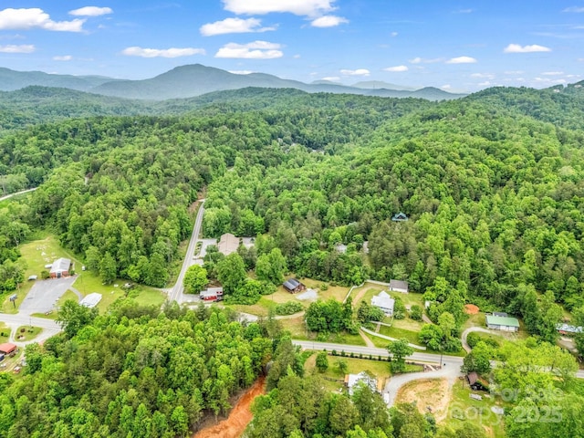 drone / aerial view of a heavily wooded area and mountains