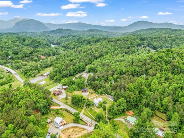aerial view of a heavily wooded area and a mountain backdrop