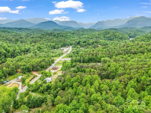 drone / aerial view of a forest and a mountainous background