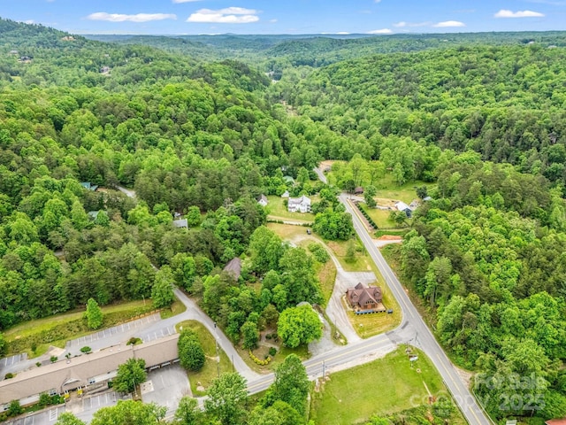 bird's eye view of a forest