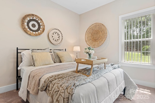 4616 Gold Finch Dr, Denver, NC 28037 - bedroom with carpet flooring and baseboards