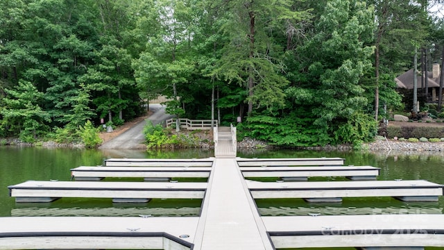 4616 Gold Finch Dr, Denver, NC 28037 - view of home's community featuring a water view and a floating dock