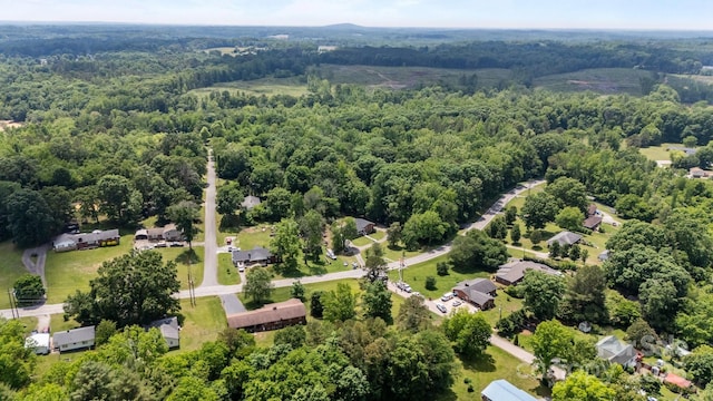 bird's eye view of a forest