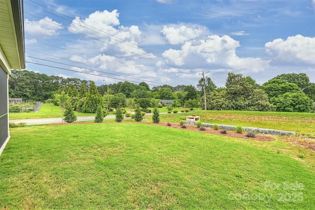 13605 Tranquil Day Dr, Matthews, NC 28105 - view of green lawn featuring view of wooded area