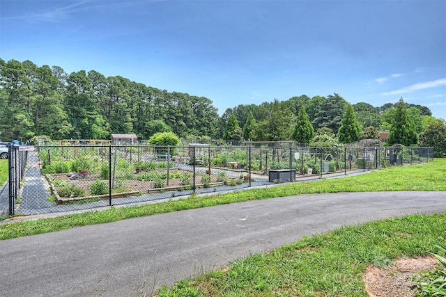 13605 Tranquil Day Dr, Matthews, NC 28105 - view of asphalt road