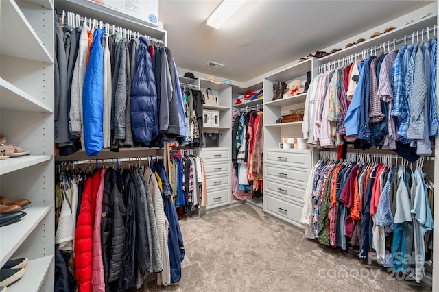 5014 Forest Hills Pl, Fort Mill, SC 29707 - walk in closet with light carpet