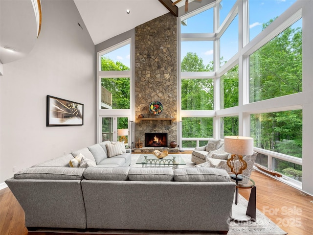 55 Edgewood Road Ext, Asheville, NC 28803 - photo 5