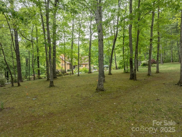 55 Edgewood Road Ext, Asheville, NC 28803 - photo 36