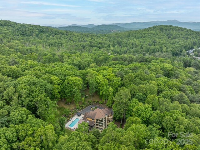 55 Edgewood Road Ext, Asheville, NC 28803 - photo 38