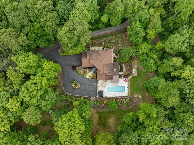 55 Edgewood Road Ext, Asheville, NC 28803 - photo 39