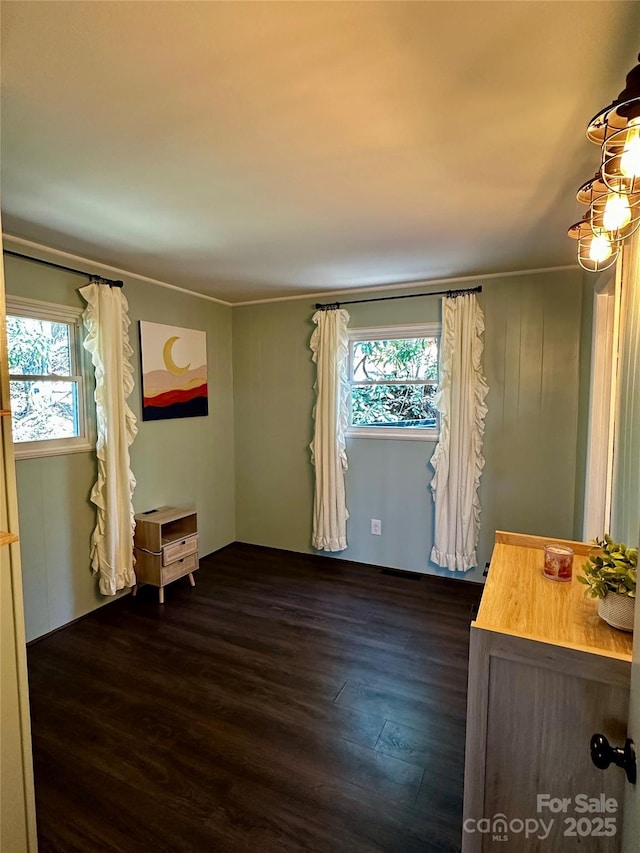 spare room with dark wood-style flooring and ornamental molding