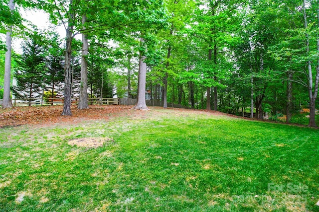 12314 Chickasaw Dr, Huntersville, NC 28078 - view of yard