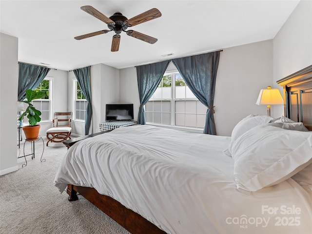 85 Lumber River Rd, Fletcher, NC 28732 - carpeted bedroom featuring multiple windows and a ceiling fan