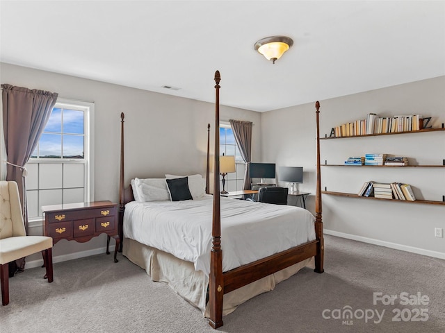 85 Lumber River Rd, Fletcher, NC 28732 - bedroom with carpet and baseboards