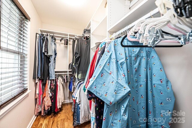 spacious closet featuring wood finished floors