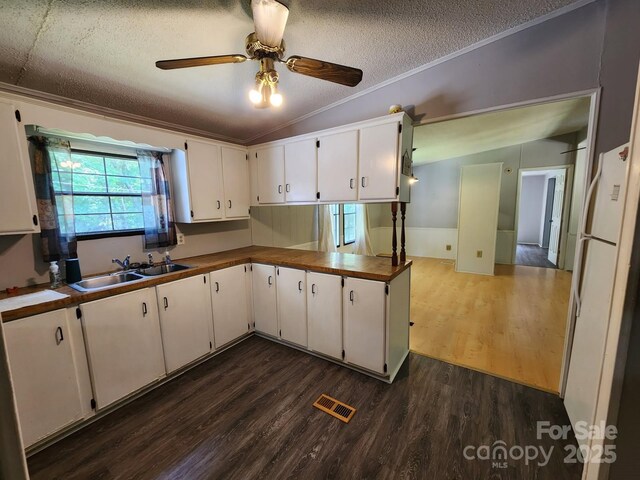 kitchen with a sink, freestanding refrigerator, a textured ceiling, dark wood finished floors, and white cabinetry