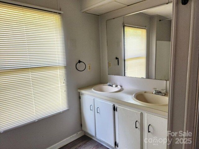 bathroom featuring double vanity and wood finished floors