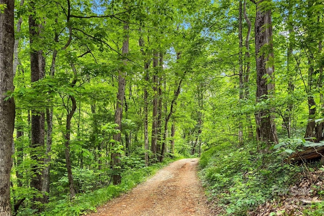 view of road featuring a wooded view