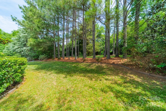 12039 Lawings Corner Dr, Huntersville, NC 28078 - view of green lawn