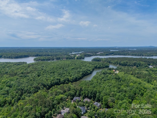 12039 Lawings Corner Dr, Huntersville, NC 28078 - bird's eye view of a forest and a nearby body of water