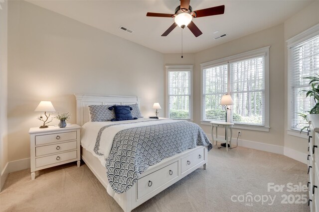 18311 Rosapenny Rd, Charlotte, NC 28278 - bedroom with light carpet, multiple windows, and baseboards