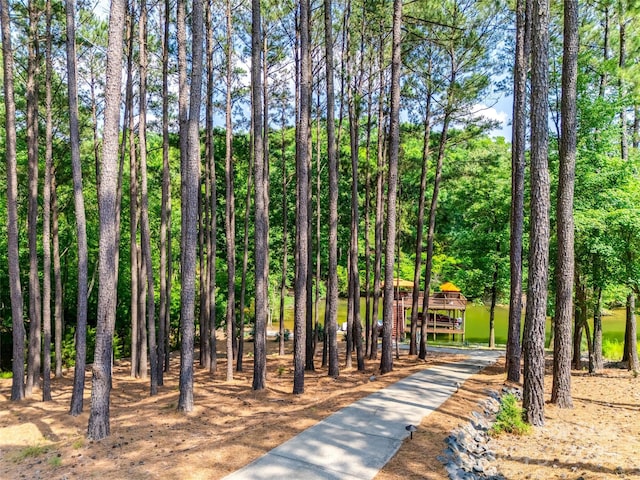 18311 Rosapenny Rd, Charlotte, NC 28278 - view of home's community with view of wooded area
