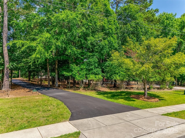 18311 Rosapenny Rd, Charlotte, NC 28278 - surrounding community with a yard and asphalt driveway