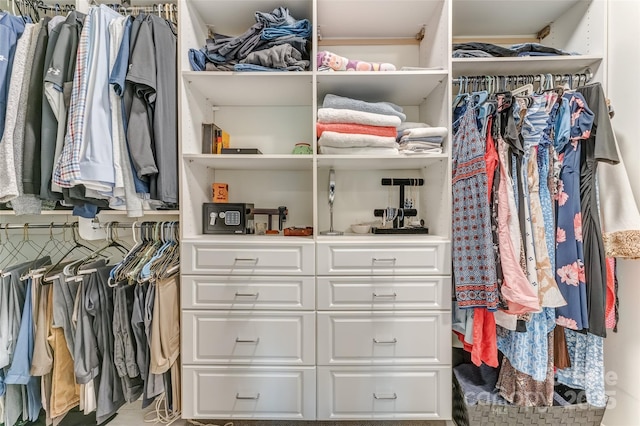 230 Fairway Falls Rd, Mills River, NC 28759 - view of spacious closet