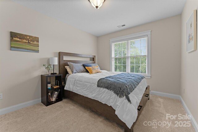 230 Fairway Falls Rd, Mills River, NC 28759 - bedroom featuring light colored carpet and baseboards