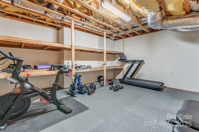 230 Fairway Falls Rd, Mills River, NC 28759 - exercise area with concrete block wall