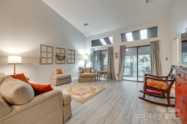 115 Pine Grove Cir, Clover, SC 29710 - living room featuring high vaulted ceiling, light wood finished floors, and baseboards