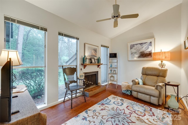 115 Pine Grove Cir, Clover, SC 29710 - sitting room with lofted ceiling, wood finished floors, a ceiling fan, a fireplace with raised hearth, and baseboards