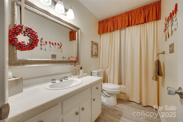 115 Pine Grove Cir, Clover, SC 29710 - bathroom featuring wood finished floors, toilet, vanity, and curtained shower