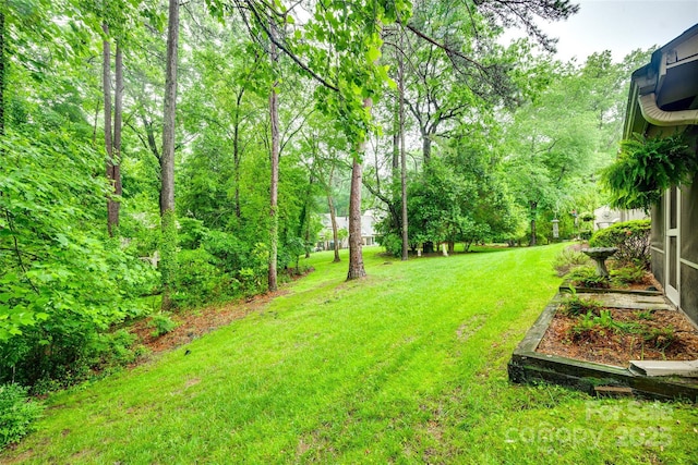 115 Pine Grove Cir, Clover, SC 29710 - view of grassy yard