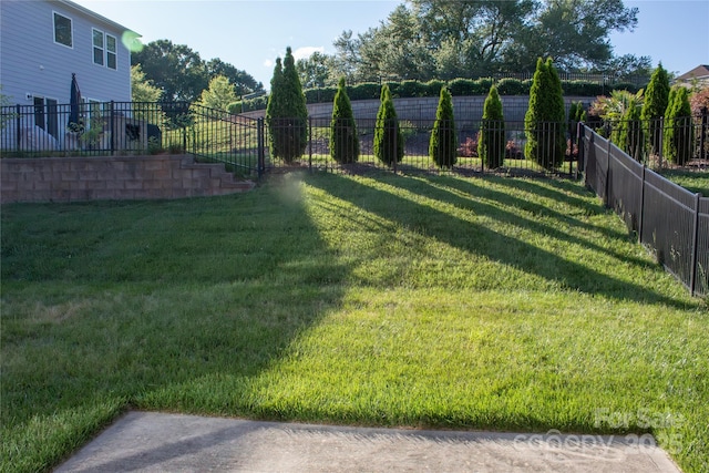 745 Garrett Green Way, Fort Mill, SC 29715 - view of yard