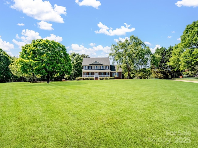 view of green lawn