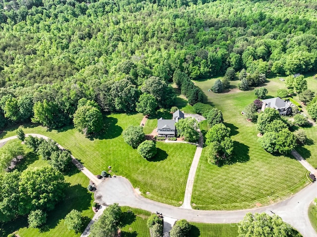 bird's eye view of a forest