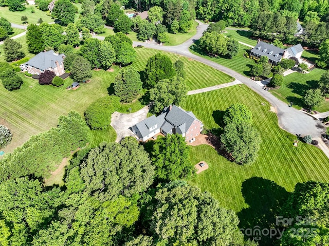 bird's eye view