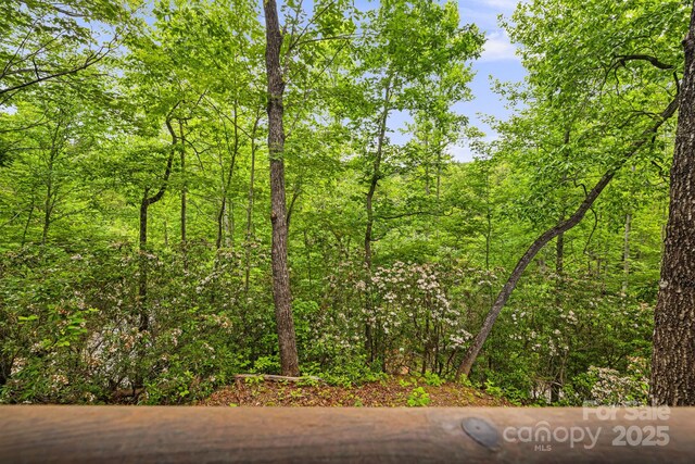 108 Cougar Aly Unit 79, Lake Lure, NC 28746 - view of woods