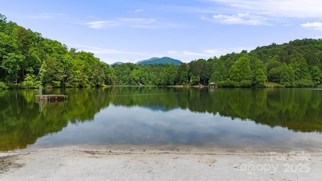 108 Cougar Aly Unit 79, Lake Lure, NC 28746 - water view featuring a heavily wooded area