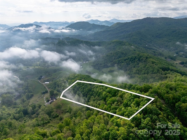 0000 Belmont Dr, Clyde, NC 28721
