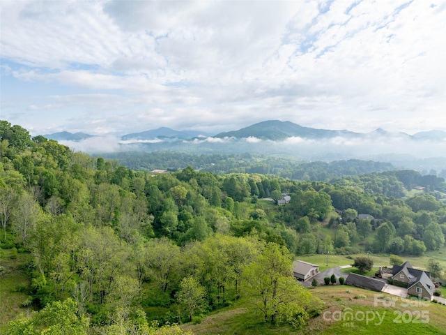 0000 Belmont Dr, Clyde, NC 28721