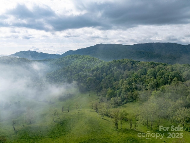 0000 Belmont Dr, Clyde, NC 28721