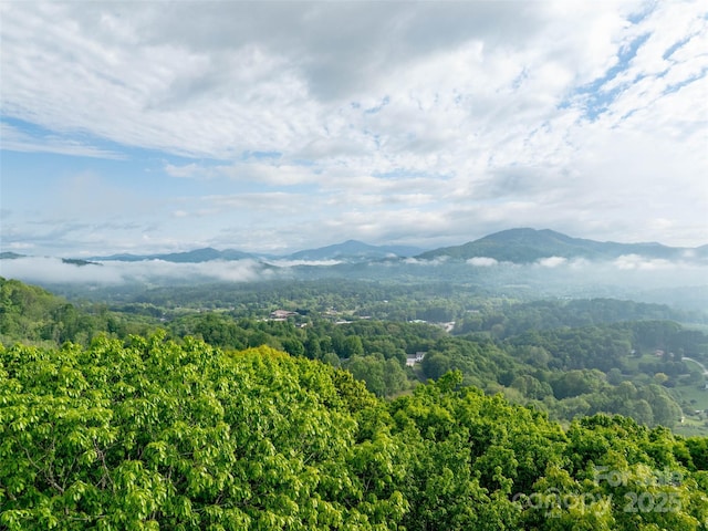 0000 Belmont Dr, Clyde, NC 28721