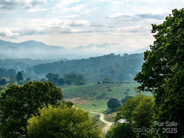 0000 Belmont Dr, Clyde, NC 28721
