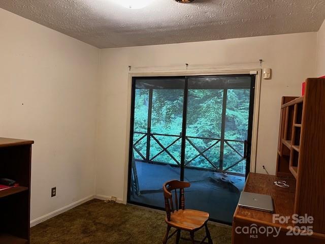 530 Burge Mountain Rd, Hendersonville, NC 28792 - photo 3