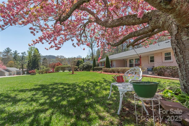 307 Tree Haven Blvd, Hendersonville, NC 28791 - view of green lawn