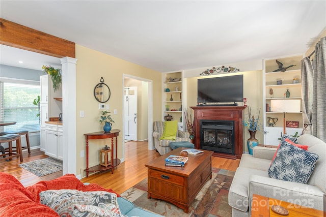 307 Tree Haven Blvd, Hendersonville, NC 28791 - living area with light wood-type flooring and a glass covered fireplace